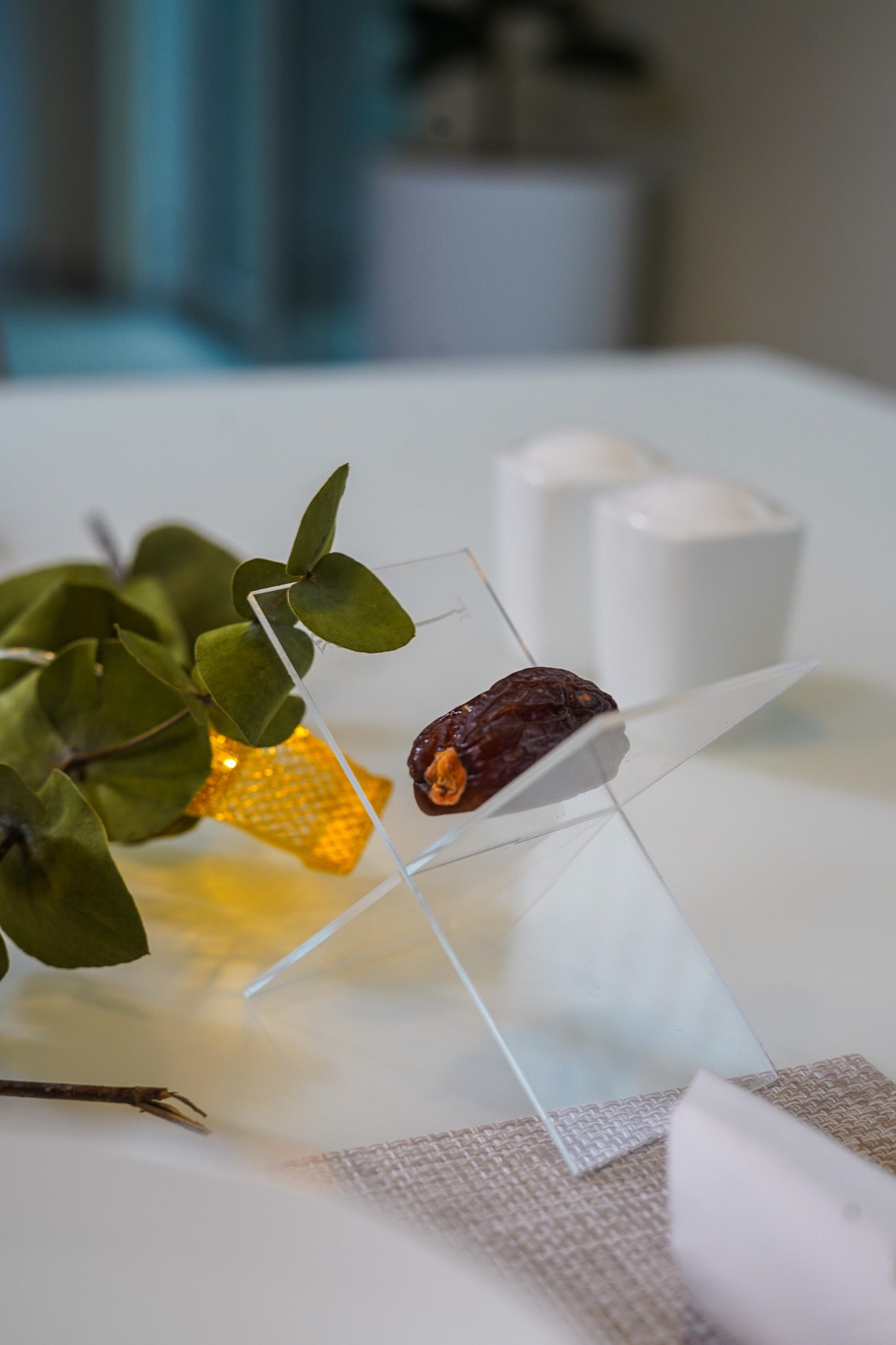 Dattelhalter Transparent